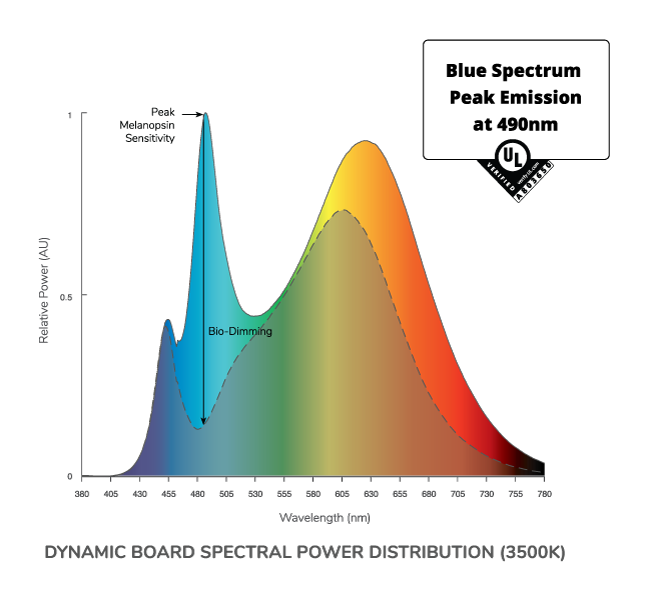 Dynamic Board Spectral Power Distribution chart for circadian lighting