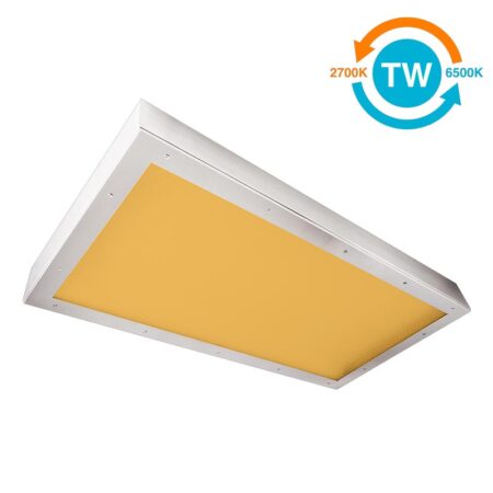 The KURTZON™ KL-S-LED-AMBER-TW is a Tunable White 1x4, 2x2 and 2x4 Amber/White LED Surface Fixture suitable for Cleanspaces and Wet Locations.