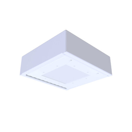 MX-S-1X1-LED Surface Mount Medium/Maximum Security Luminaires